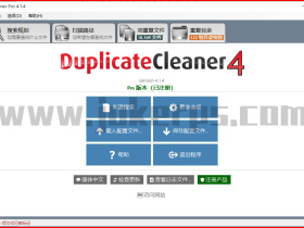 Duplicate Cleaner Pro V4.1.4汉化版 重复文件清理